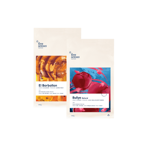 Image of Single Origin Filter Subscription