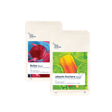 Image of Single Origin Filter Subscription