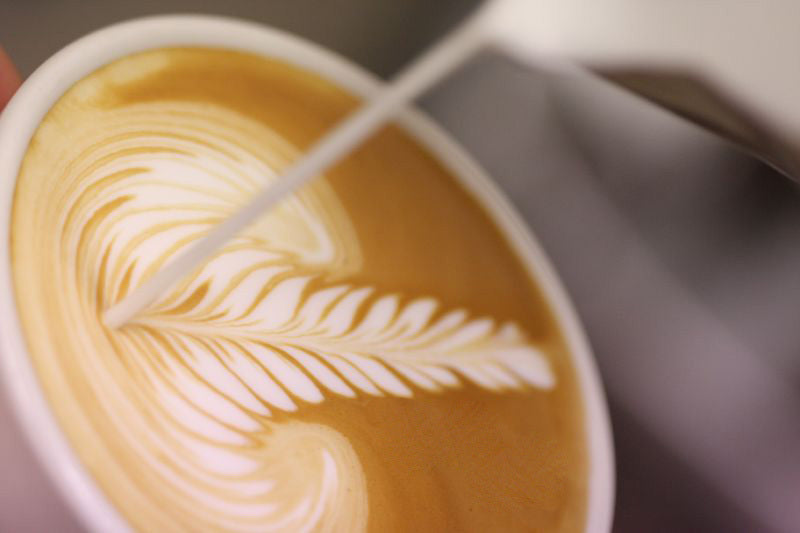 How to make latte art  Australia's Best Recipes