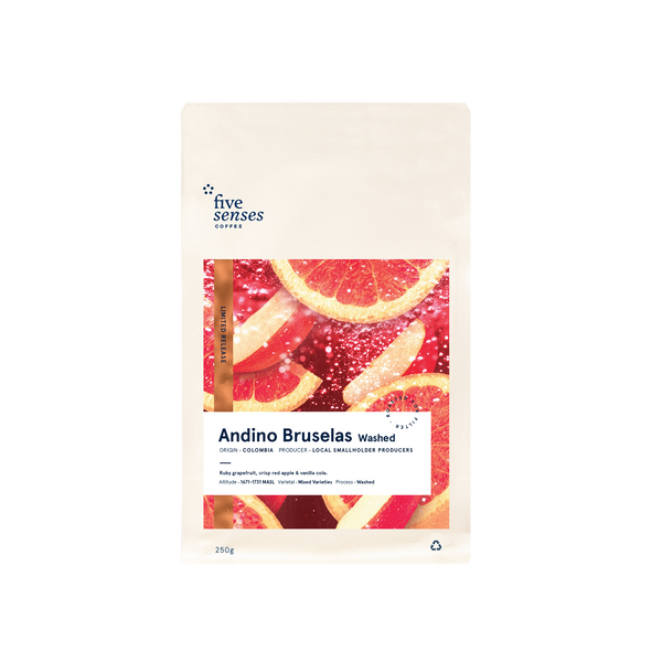 Andino Bruselas, Washed | Five Senses Coffee