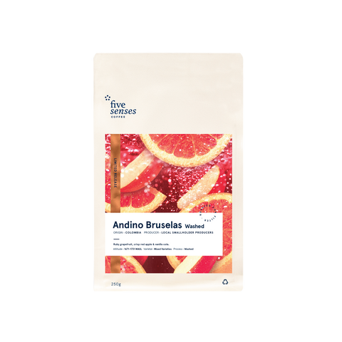 Image of Andino Bruselas, Washed