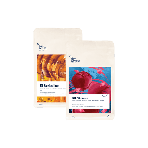 Image of Single Origin Filter Subscription