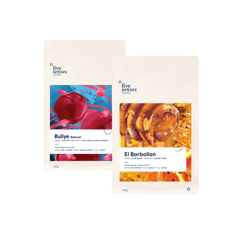 Image of Single Origin Filter Subscription